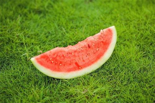 吃瓜有点麻 有点酸,吃瓜体验——麻酸交织的味蕾之旅