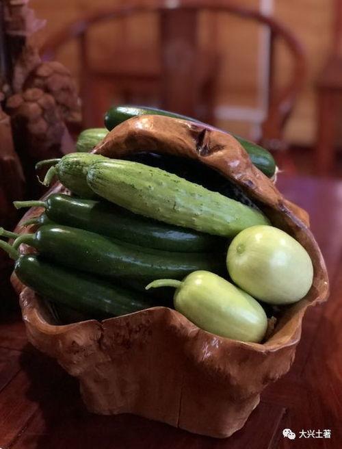 网红肥肥吃瓜,揭秘娱乐圈幕后真相