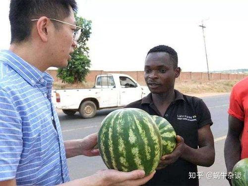 各网友吃瓜现状