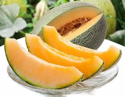 瓜州县吃瓜群众图片实拍,感受当地民俗风情