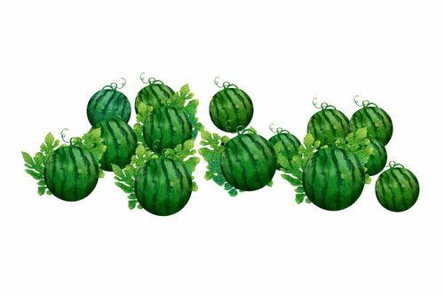 阿边吃瓜,揭秘娱乐圈幕后故事