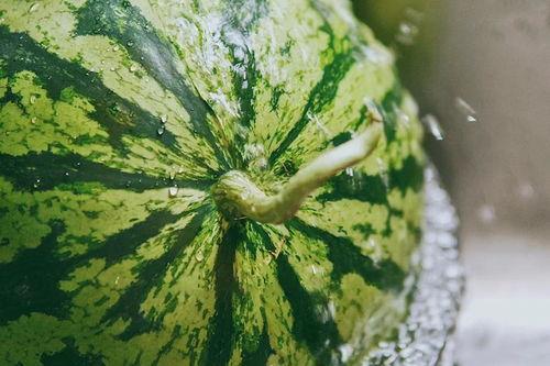 精致吃瓜人,尽享精致吃瓜时光