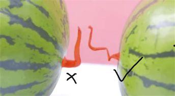 幼儿园看瓜和吃瓜教案,看瓜与吃瓜快乐时光