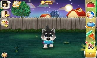 晴天小狗吃瓜小白,小狗与小白的故事