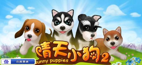 晴天小狗吃瓜小白,小狗与小白的故事