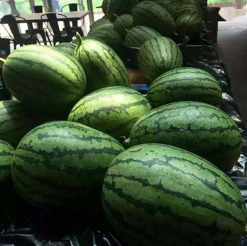 吃瓜系统16,带你领略全新社交风潮