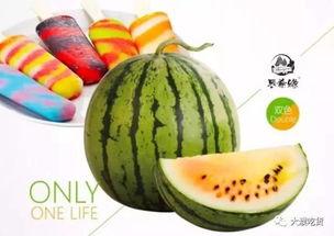 掌柜吃瓜记,揭秘市井百态，品味人间烟火