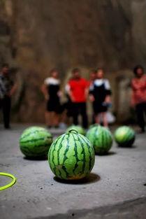 有趣的吃瓜内容,揭秘娱乐圈那些鲜为人知的幕后故事