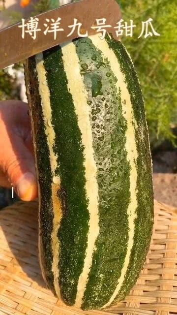 让别人无瓜可吃,如何让对手无计可施，让你独占鳌头