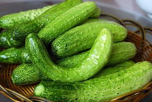 黄瓜最多留几个瓜吃,掌握最佳留瓜数量，丰收不是梦