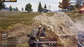 吃瓜系统温暖,揭秘网络社交的甜蜜与温馨