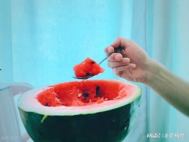 深圳吃瓜最新,揭秘网红美食背后的故事