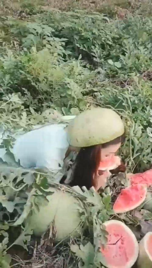 美丽姐姐吃瓜视频,美丽姐姐的吃瓜日常揭秘