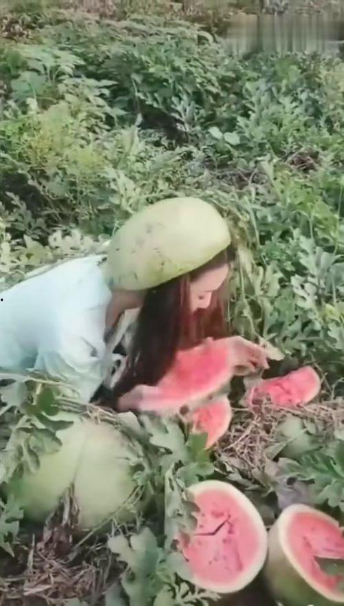 美丽姐姐吃瓜视频,美丽姐姐的吃瓜日常揭秘