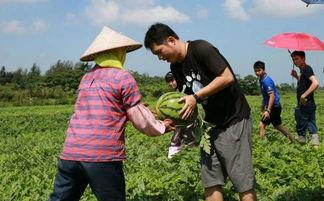 村里吃瓜人,揭秘农村吃瓜人群的欢乐生活