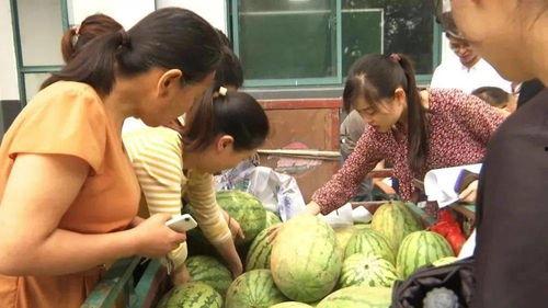 村里吃瓜人,揭秘农村吃瓜人群的欢乐生活