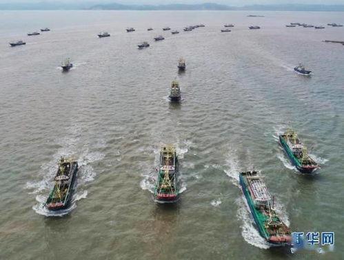 舟山吃瓜渔船事件始末,一场意外引发的海洋维权风波