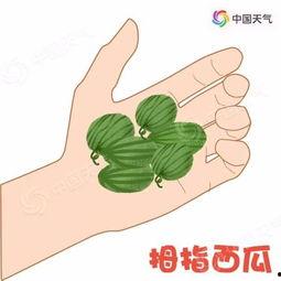 飞机带你吃瓜,飞机带你吃瓜之旅