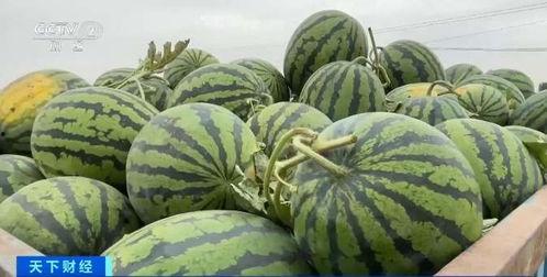 新乡最新吃瓜,最新吃瓜事件，带你领略当地风土人情！”