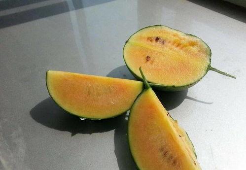 吃彩虹瓜的视频,缤纷色彩，甜蜜滋味一网打尽