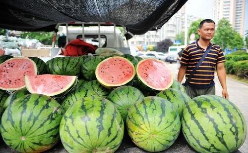卖气球青蛙吃瓜,卖气球青蛙的奇妙瓜界冒险