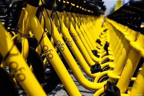 ofo吃瓜,揭秘共享单车行业的“内幕风云”