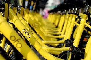 ofo吃瓜,揭秘共享单车行业的“内幕风云”