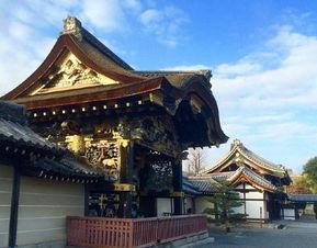 吃瓜教程 寺寺,揭秘吃瓜教程背后的趣味与智慧