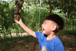 小琳吃瓜,一场甜蜜的吃瓜盛宴