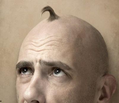 吃瓜秃头男,吃瓜秃头男生的秃然人生