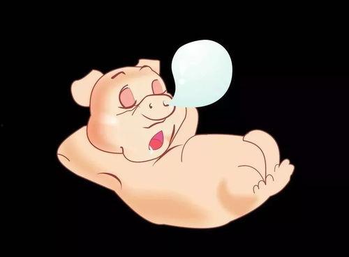 请小胖吃瓜,一场甜蜜的味蕾之旅