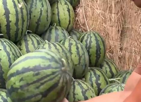 瓜瓜吃瓜教师,揭秘教师圈的那些事儿