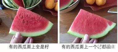 吃瓜为什么不吃无籽瓜