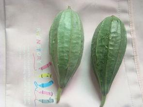 圆兰瓜怎么吃,探索美味新境界