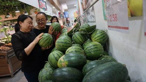 泗水欧洲城吃瓜,一场别开生面的“吃瓜”盛宴