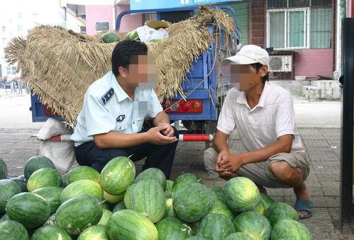 泗水欧洲城吃瓜,一场别开生面的“吃瓜”盛宴
