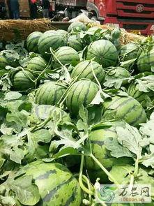 临沂沂水吃瓜事件,一场引发热议的街头冲突事件