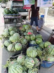 临沂沂水吃瓜事件,一场引发热议的街头冲突事件