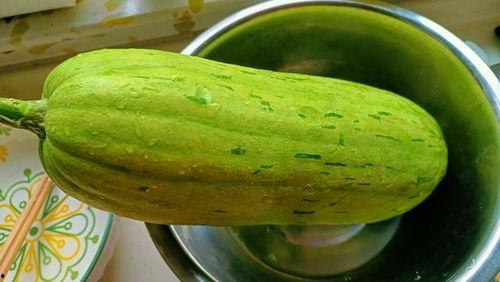 一瓜吃一月,畅享一季美味时光