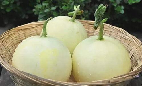 吃瓜咔嚓咔嚓,揭秘娱乐圈幕后故事