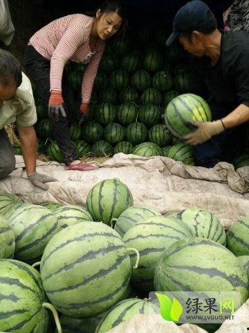 安溪最新吃瓜新闻事件,真相竟如此反转！