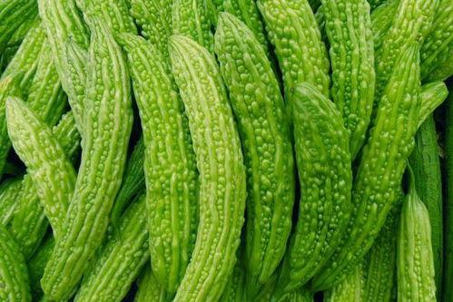 常见可吃的瓜,探寻常见可食瓜类的多样魅力