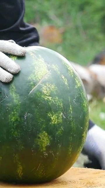 复瓜拿来怎么吃,复瓜拿来的多样食法探索