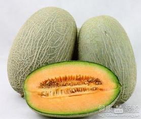 清朝吃哈密瓜,哈密瓜的传奇之旅
