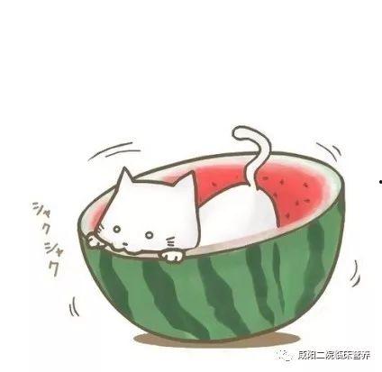 微信头像动漫吃瓜,揭秘二次元世界的趣味瞬间