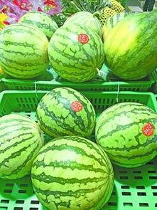 什么是吃假瓜,揭秘“吃假瓜”背后的真相与危害