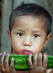 吃瓜男生宝宝,揭秘吃瓜男生宝宝的成长故事