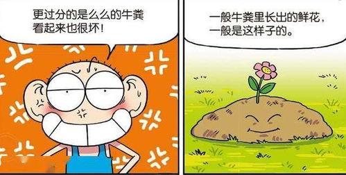 校园爆笑吃瓜,爆笑吃瓜大揭秘