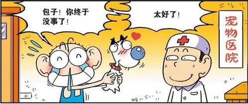 校园爆笑吃瓜,爆笑吃瓜大揭秘