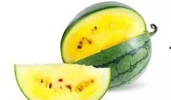 日本木纹瓜怎么吃最好,尽享清新口感